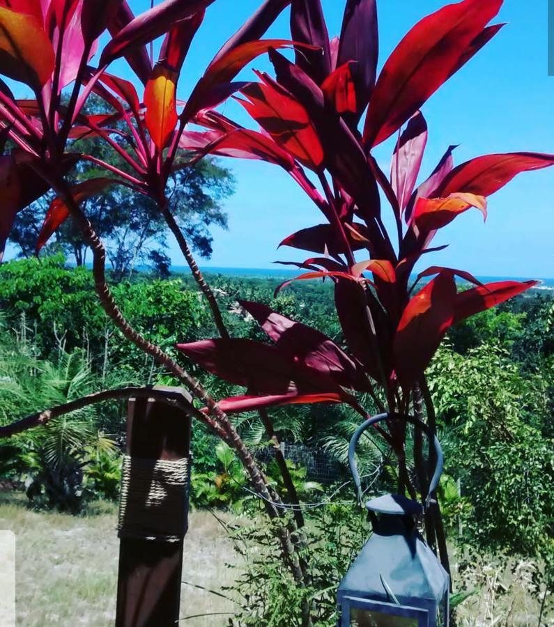 Chalé Oasis Praia do Forte Exterior foto